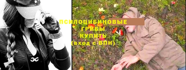 стафф Березники