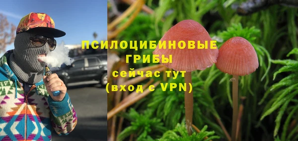 эйфоретик Беломорск
