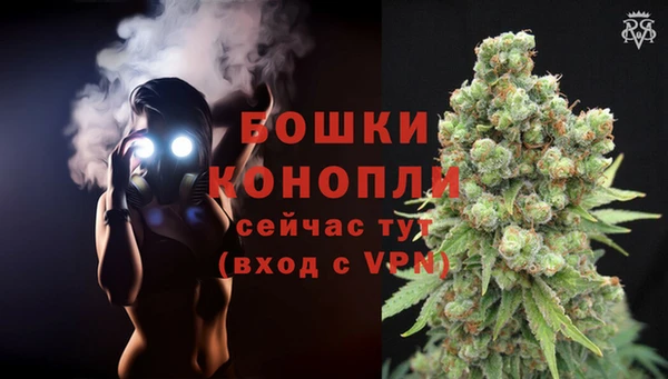 дурь Белокуриха